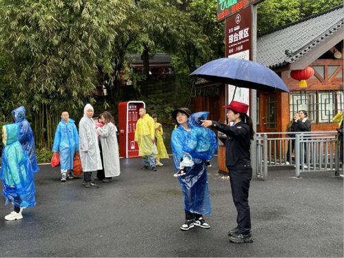 武当山下青春志 他们在旅游服务一线绽放