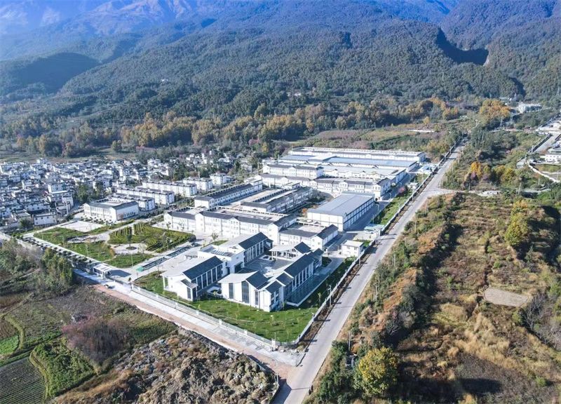 千年茶香传世界 大理下关沱茶与白族三道茶荣登人类非遗名录